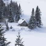 Chansons de circonstance - 16 décembre 2024