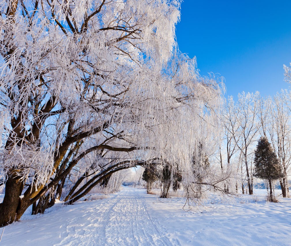 Chansons de circonstance - 18 décembre 2023